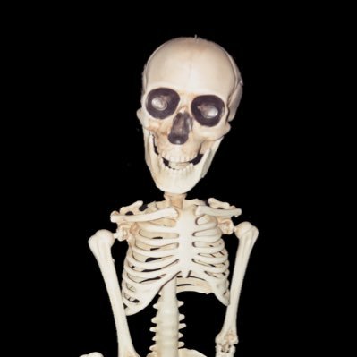 skeleton of the day!さんのプロフィール画像