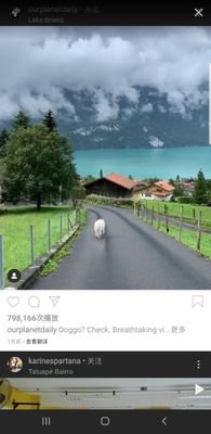 zhu01675948's profile picture. 