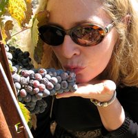 Patricia Decker - @WineAlong101 Twitter Profile Photo