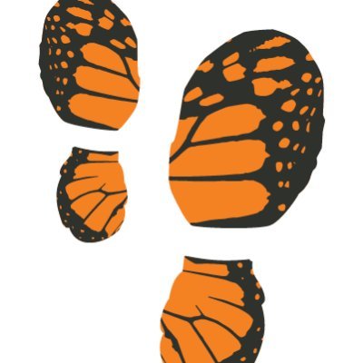 Ultramarathon, conservation and documentary project to raise awareness for monarch butterflies.