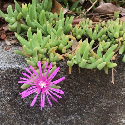 st_0tch's profile picture. 日々過ごしてます