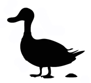 jeff_499's profile picture. Geocaching, running, doing IT stuff.
Travelling through Europe #vanlife