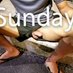 sunday (@sunday67171936) Twitter profile photo sunday (@sunday67171936) Twitter profile photo