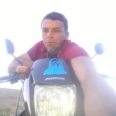 Eu odeio os ibesis