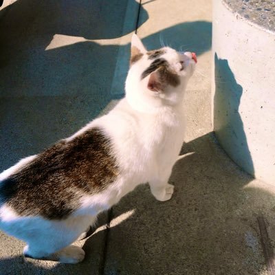 ma_tf_0902's profile picture. ER-4n