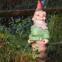 moosblogger (@moosblogger) 's Twitter Profile Photo