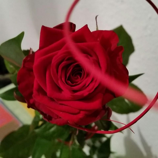 TheOneSimonius's profile picture. erst war ich neugierig,  dann blieb ich hängen - jetzt find ich nicht mehr raus. #notjustsad
he/him