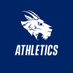 St. Edward's Hilltoppers (@SEUAthletics) Twitter profile photo