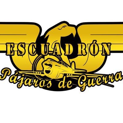 GuerraPajaros's profile picture. Somos apasionados por el aeromodelismo haciendo shows en eventos con aviones a escala de la segunda guerra mundial. 🇦🇷✈️👨🏻‍✈️👩🏻‍✈️