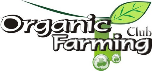 OFClub_Himasita's profile picture. Organic