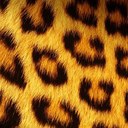 Chris Aikens - @islandgirlja - Twitter