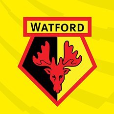 Watford supporters of Middle Tennessee. Based in Music City, USA. Watching the Hornets wherever they'll put the game on. #COYH