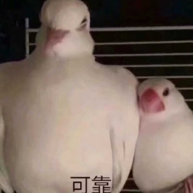 Vyead's profile picture. 