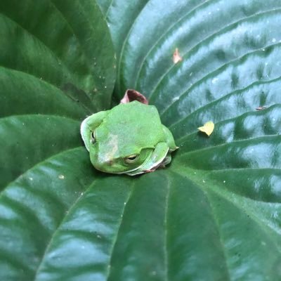 autk0083's profile picture. 基本エロいコト(大きなオッパィ)しか考えていない中年です。あと温泉にはいるのが大好物です。ロススト楽し〜