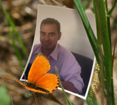 sa3eed3577's profile picture. 