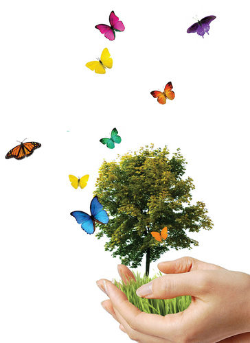 ecusol's profile picture. 