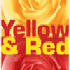 _yellowred's profile picture. Yellow & Red realizes turnkey e-business solutions, make your organization successful on the internet with user friendly and tightly integrated web solutions.