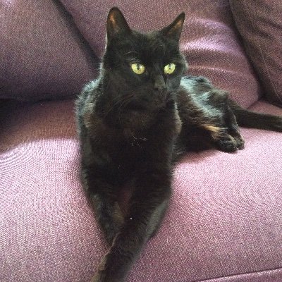 Finngirl76's profile picture. 