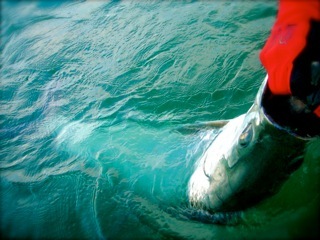 Fishing Fanatic