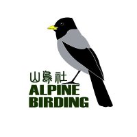 AlpineBirding (@alpinebirdingt) 's Twitter Profile