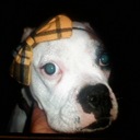 danielle marcia - @danielleovision - Twitter