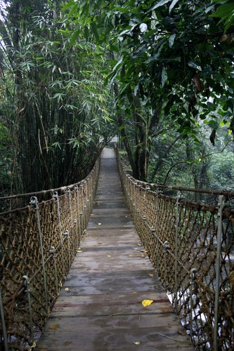 ashwanivohra's profile picture. 