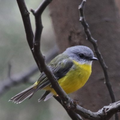 a christian. love photography, particularly snapping bird life. passion 4 sports, . go kangas, victory, liverpool, and storm.