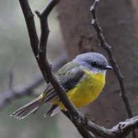 hurky (@hurkymark) 's Twitter Profile Photo