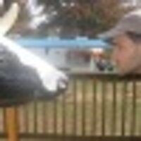 Jem Zornow (@meamjer) 's Twitter Profile