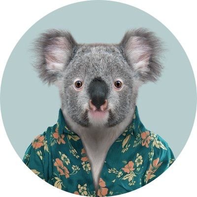 🐨G'DAY!「日本から一番近いオーストラリア」クイーンズランド州政府観光局公式アカウントです！オーストラリアの観光や動物ネタを毎日投稿中。ブリスベン、ケアンズ、ゴールドコースト、世界遺産グレートバリアリーフ方面の旅に興味のある人は是非フォローしてね🕺