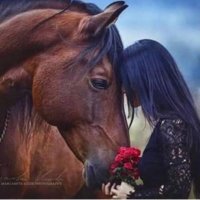 . (@amira1111122) Twitter profile photo