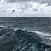 VUW Marine Ecology and Ecosystem Modelling Lab (@meemlab_nz) Twitter profile photo VUW Marine Ecology and Ecosystem Modelling Lab (@meemlab_nz) Twitter profile photo
