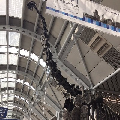 恐竜、ゴジラ、格闘技など色んな事が好きです! 気軽にフォローしてください!(無言フォロー失礼します😅)Hi I like dinosaurs, Godzilla and also MMA❗️