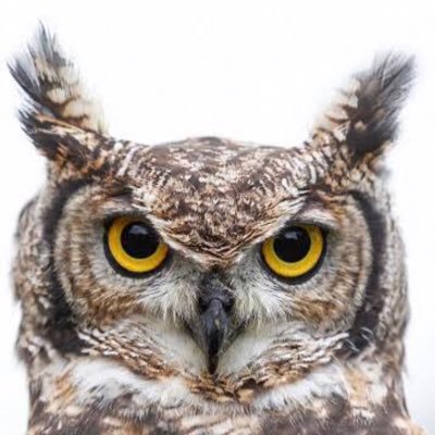 hukurou0320's profile picture. 