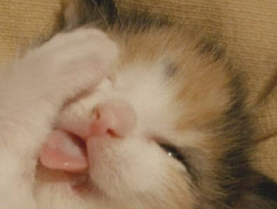 bomunhyundai's profile picture. 