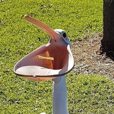 Hodlman_Bags's profile picture. 