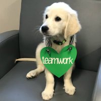 Memorial Elementary (@valpo_memorial) 's Twitter Profile
