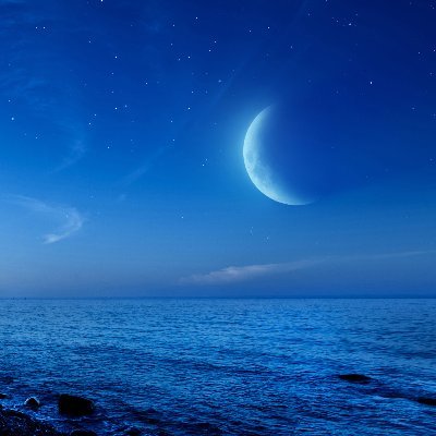 spag1_'s profile picture. Always Chillin♥