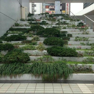 psfnn's profile picture. Bang Yongguk💚 l GOT7💚