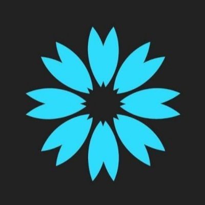 HaqueAlmas's profile picture. Dreamer, Believer, Reader and a learner always 😊