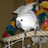 myseofrontpage's profile image