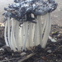 Irving Roman Sanchez - @yagami2k4 - Twitter