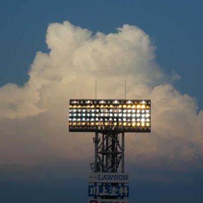 高校野球ファン