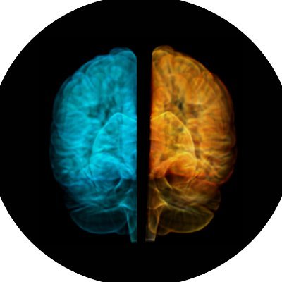 Exploring network reorganization and motor learning after stroke via #neuroimaging and #neurostimulation
Department of Neurology @UKKoeln 
Led by @LukasJanVolz