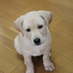 bracky (@bracky_wg) Twitter profile photo bracky (@bracky_wg) Twitter profile photo