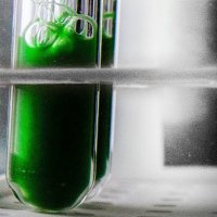 Zedler Lab (@synbiojazz) 's Twitter Profile Photo Zedler Lab (@synbiojazz) 's Twitter Profile Photo