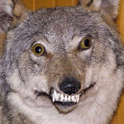 LiquidPrimeEXS's profile picture. 