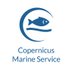 Copernicus Marine (@CMEMS_EU) Twitter profile photo