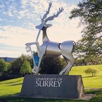 SurreyMechEngSci (@surreymes) 's Twitter Profile