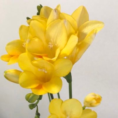 PDPT_hahahahaha's profile picture. @PDPT_hahahahaのサブ垢